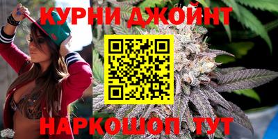 прущие грибы Краснознаменск