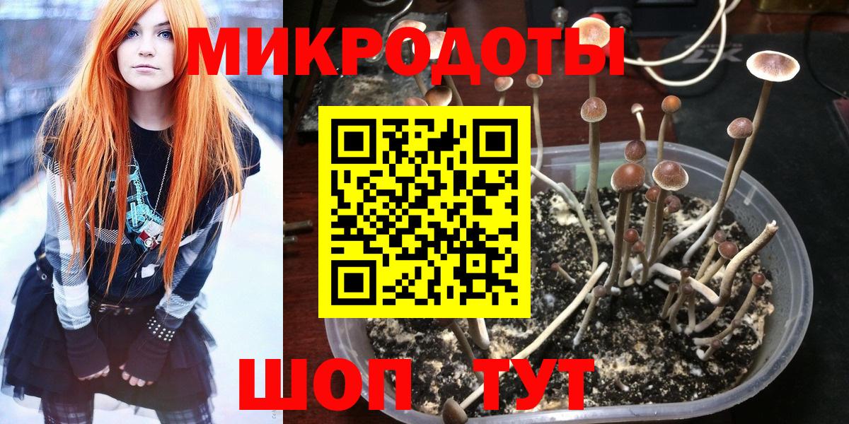 Псилоцибиновые грибы Magic Shrooms  Вход с VPN  Урюпинск  Галлюциногенные грибы Psilocybine cubensis 
