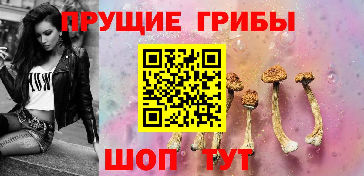 Псилоцибиновые грибы Psilocybine cubensis Урюпинск